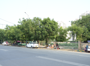 Screenshot 2025-06-15 at 9.45.29 PM